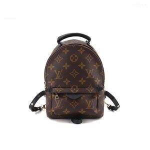 Louis Vuitton Monogram Palm Springs Backpack Mini Rucksack
